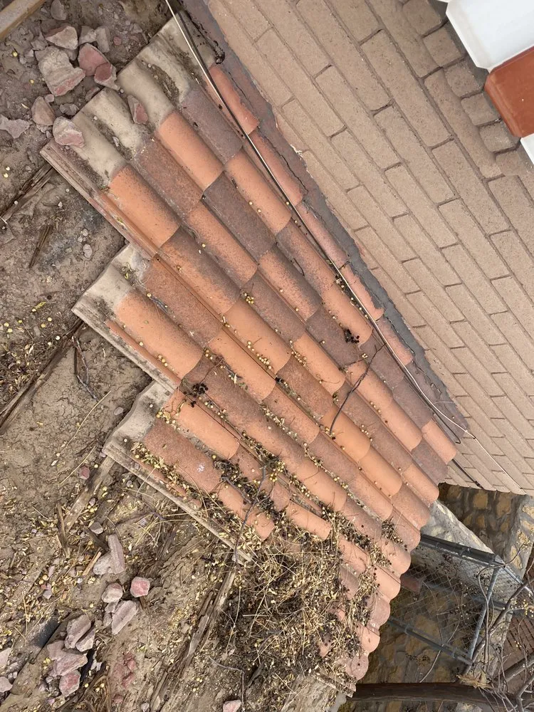 Expert landscape design with custom design across Anthony, TX - JC Contractors