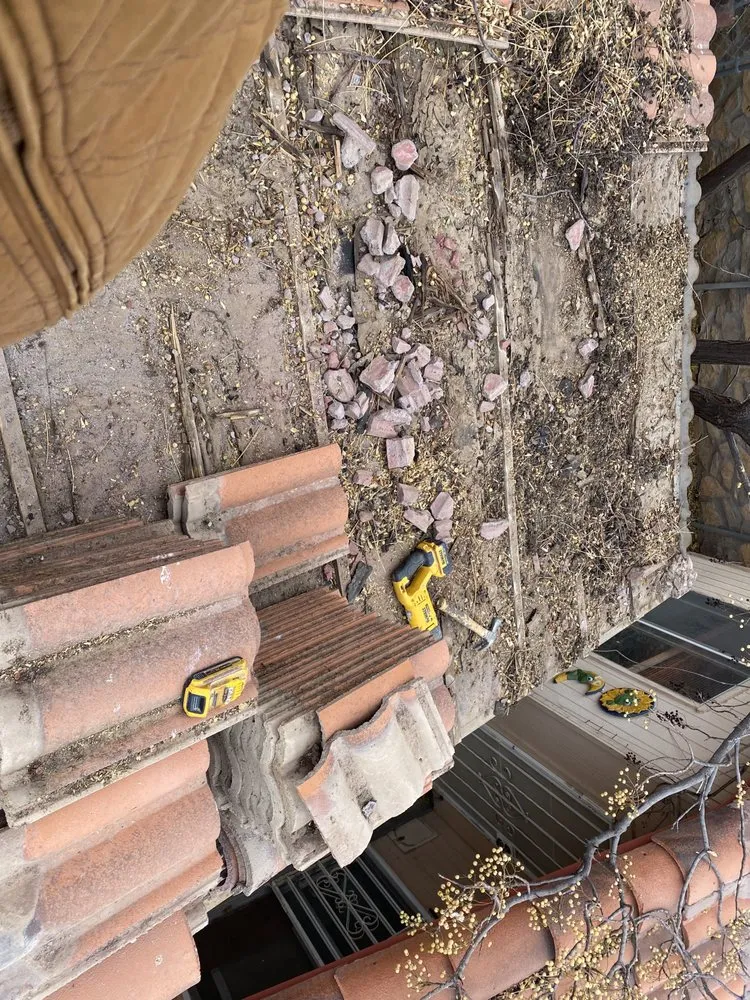 Affordable landscape design experts serving Anthony, TX - JC Contractors