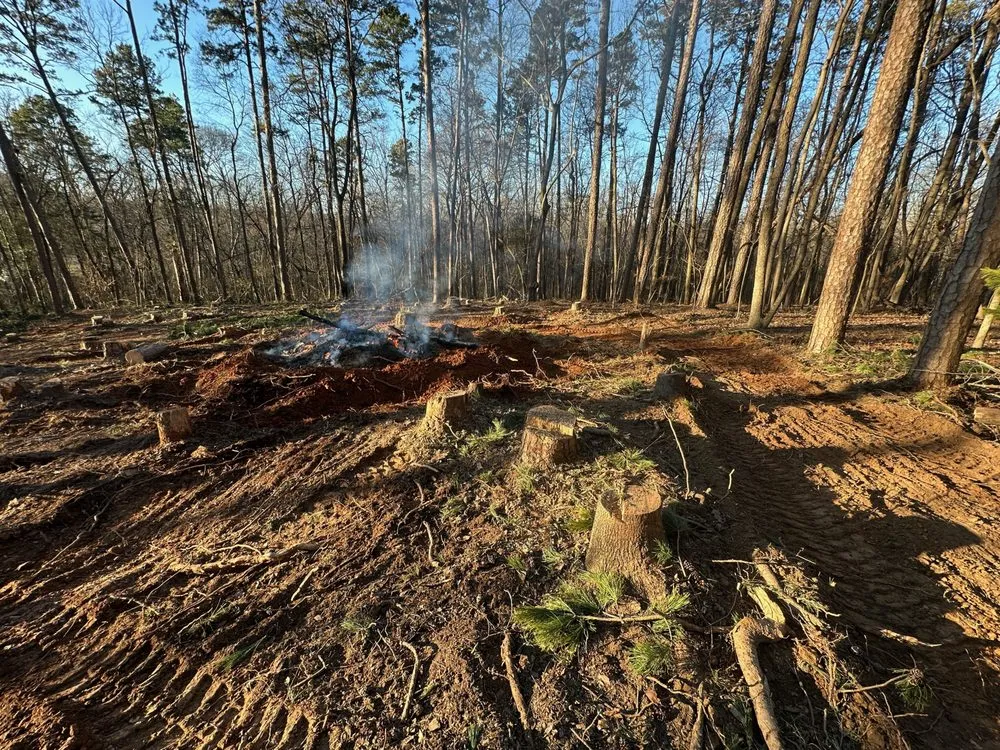 Professional yard cleanup service in Charlotte, NC - JC Excavation