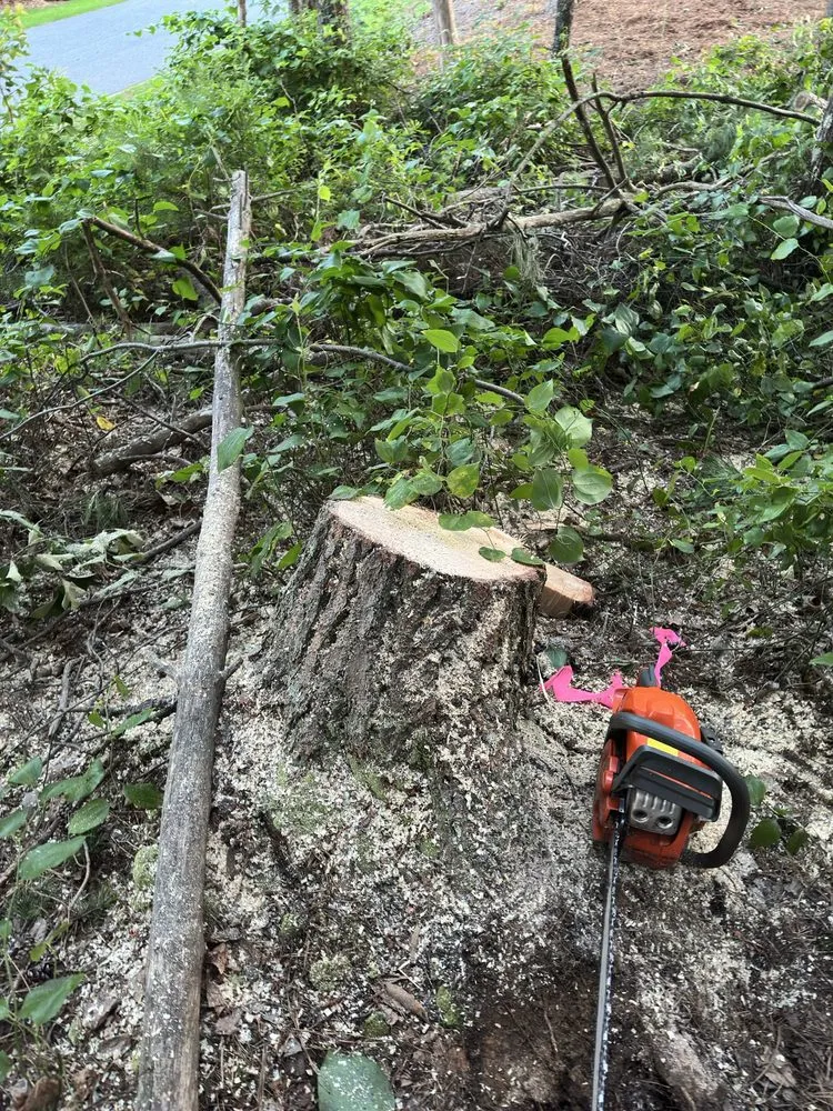 Professional garden landscaping for homes in Charlotte, NC by JC Excavation