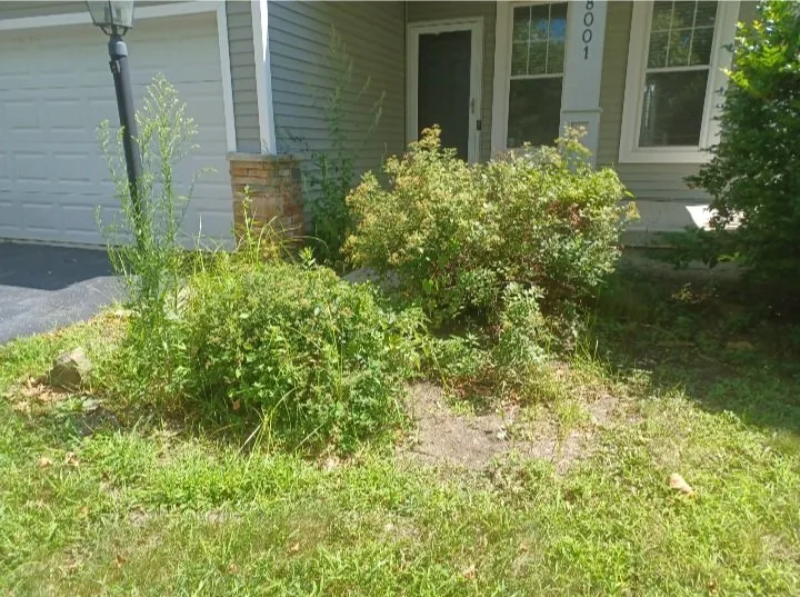 Reliable yard maintenance in Columbus, OH - J&C Family Cleaning and Lawn Care