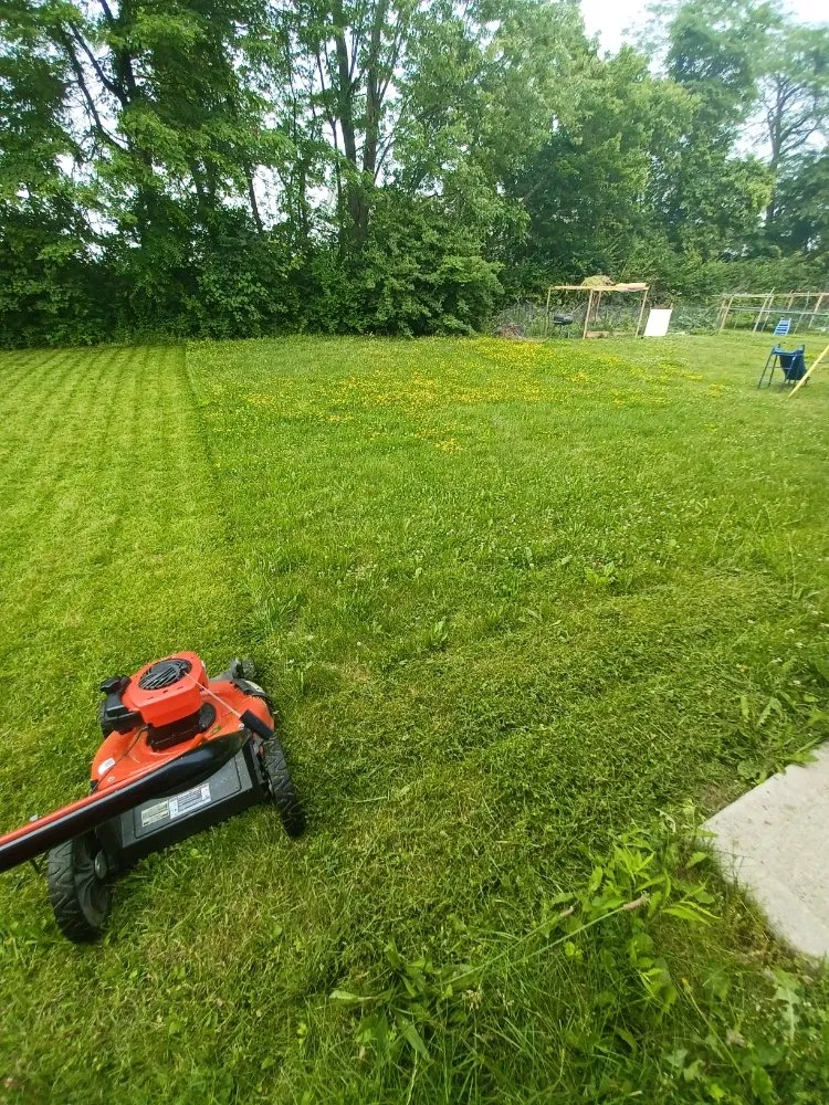 Reliable yard maintenance in Columbus, OH by J&C Family Cleaning and Lawn Care
