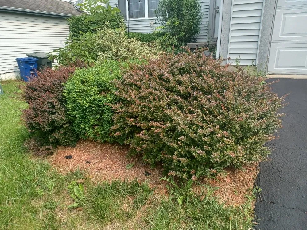 Top-rated landscape design with custom design across Columbus, OH - J&C Family Cleaning and Lawn Care