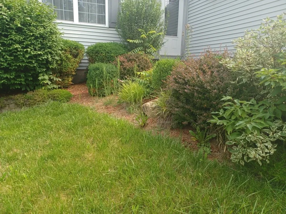 Top-rated residential landscaping experts serving Columbus, OH - J&C Family Cleaning and Lawn Care