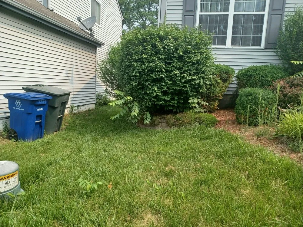 Expert lawn mowing service for outdoor upgrades across Columbus, OH - J&C Family Cleaning and Lawn Care