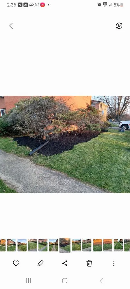 Custom yard maintenance in Columbus, OH - J&C Family Cleaning and Lawn Care