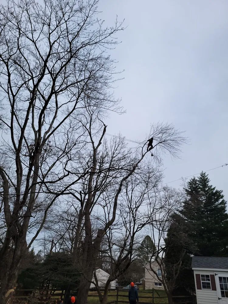 Reliable outdoor landscaping for beautiful yards across East Norriton, PA - JC Flores Landscaping