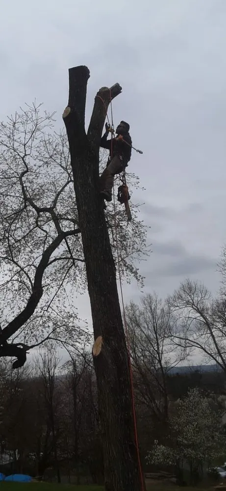 Custom outdoor landscaping in East Norriton, PA - JC Flores Landscaping