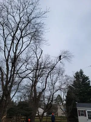 JC Flores Landscaping