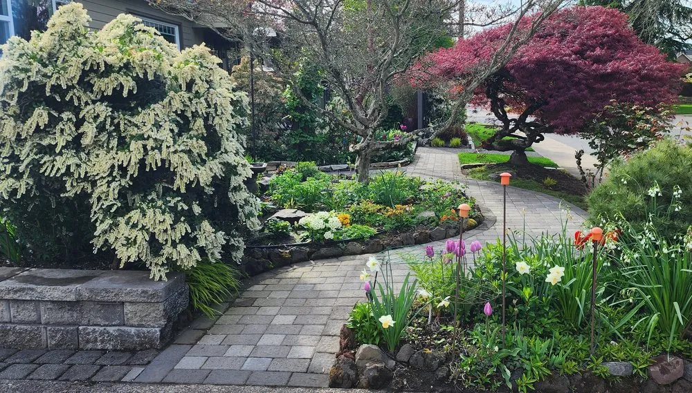 Local lawn mowing service in Salem, OR by J.C garden care