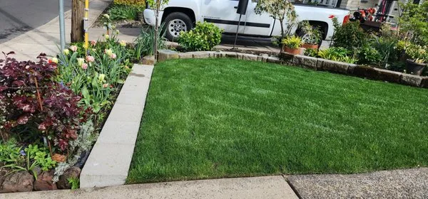 J.C  garden care Logo