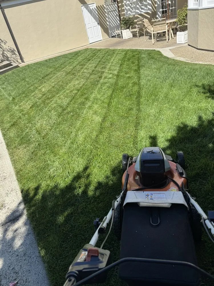 Expert yard cleanup service experts serving San Rafael, CA - Jc Garden Services