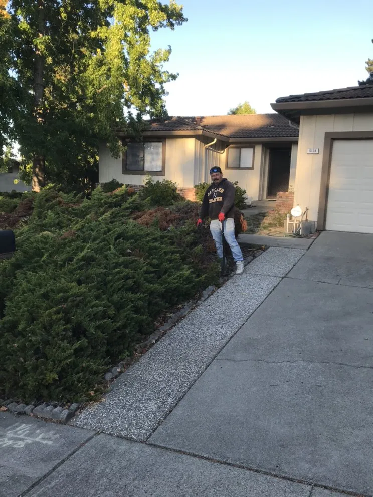 Top-rated outdoor landscaping in Rodeo, CA by J&C Gardening