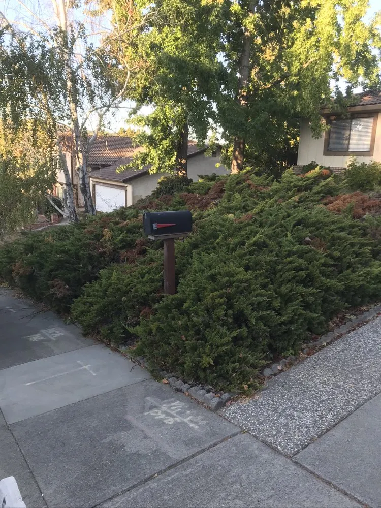 Local residential landscaping for homes across Rodeo, CA - J&C Gardening