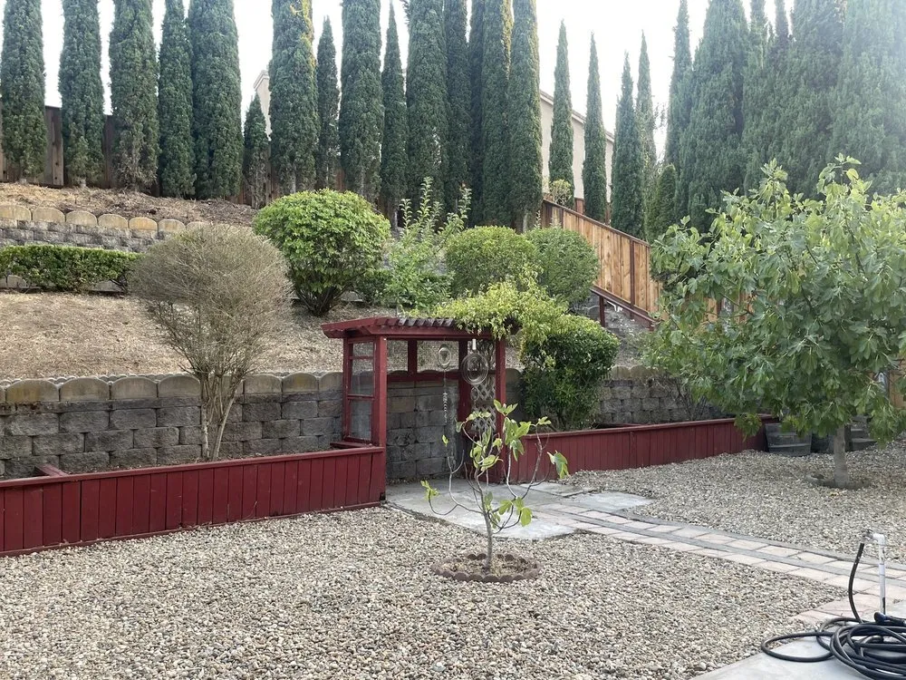 Affordable yard cleanup service for outdoor upgrades across Rodeo, CA - J&C Gardening