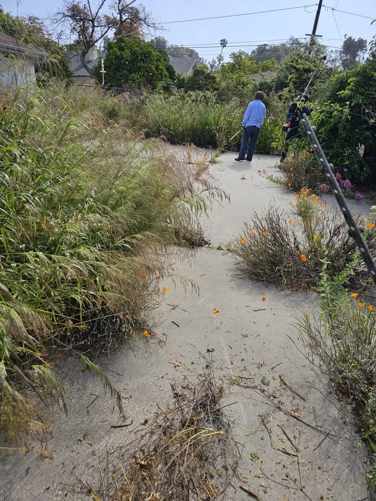 Custom lawn mowing service in Santa Paula, CA by Jc Gardening