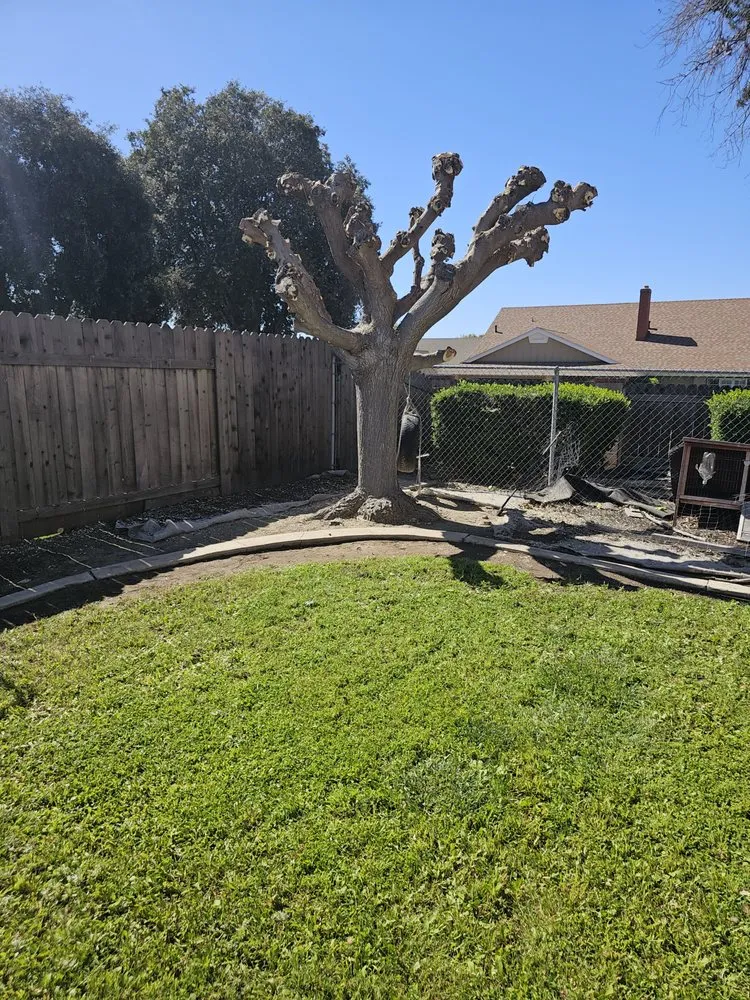 Affordable outdoor landscaping with custom design across Santa Paula, CA - Jc Gardening