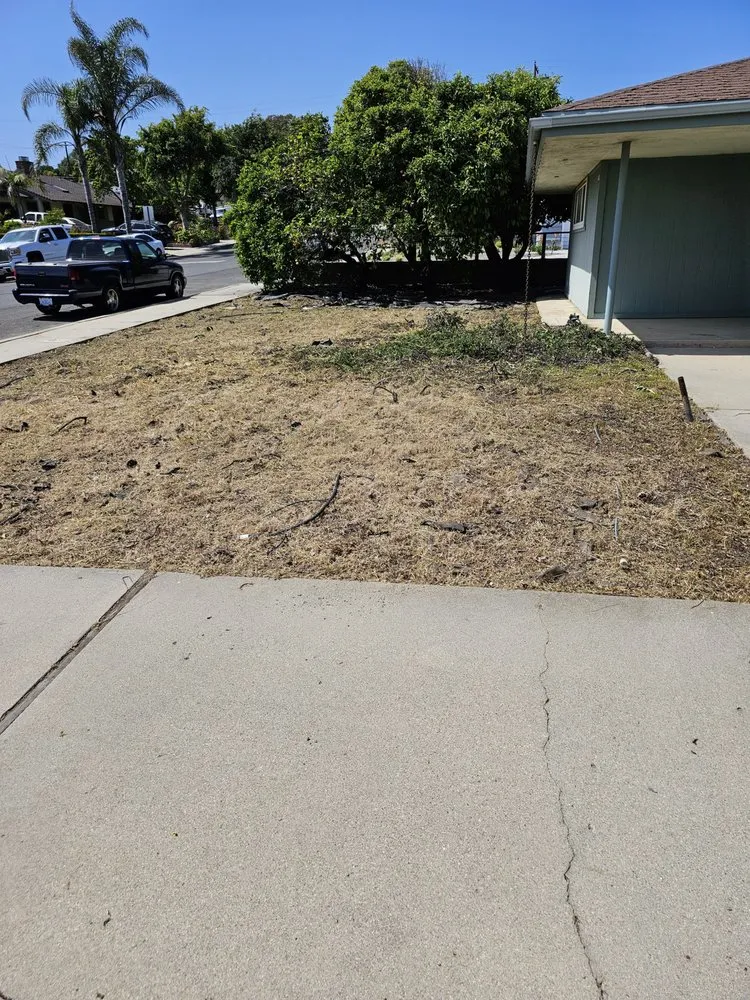 Custom landscaping services in Santa Paula, CA - Jc Gardening