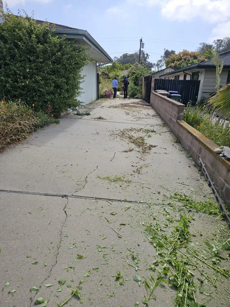 Local landscaping services experts serving Santa Paula, CA - Jc Gardening