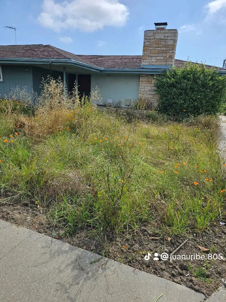 Reliable landscaping services in Santa Paula, CA by Jc Gardening