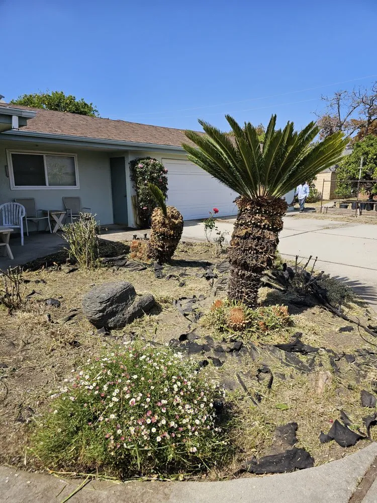 Local yard maintenance near you across Santa Paula, CA - Jc Gardening