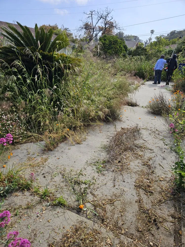 Affordable yard maintenance near you in Santa Paula, CA by Jc Gardening