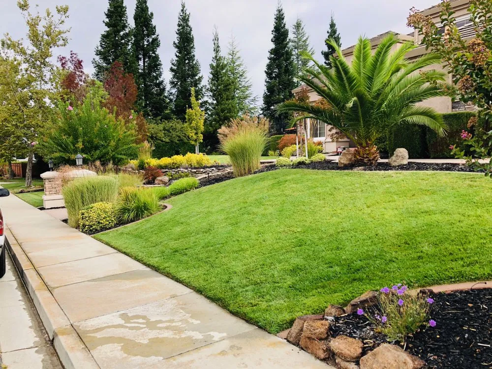 Professional landscape installation in Hayward, CA - J&C Gardening Services