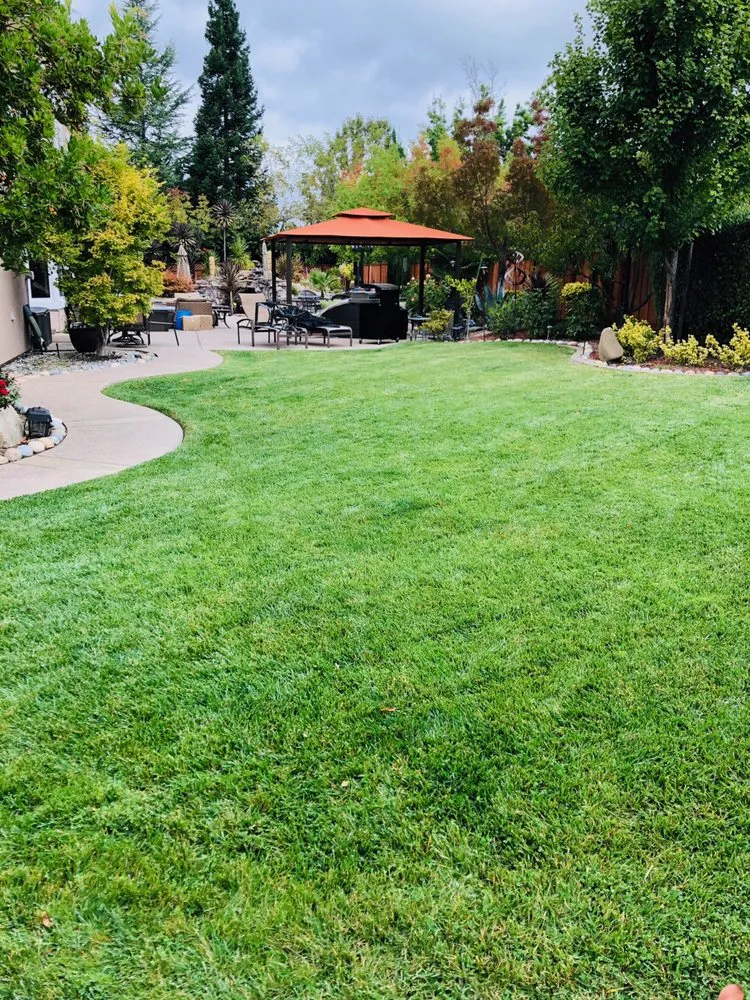 Professional outdoor landscaping for year-round maintenance across Hayward, CA - J&C Gardening Services