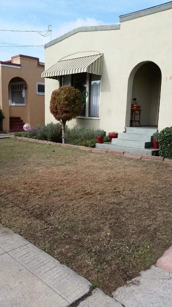 Custom lawn care service in Hayward, CA - J&C Gardening Services