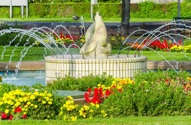 Local lawn mowing service near you across San Jose, CA - JC Green Lawn Service