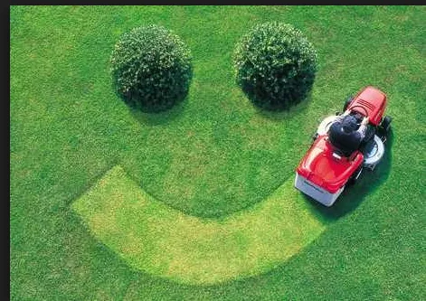 Top-rated lawn mowing service for residential properties in San Jose, CA by JC Green Lawn Service