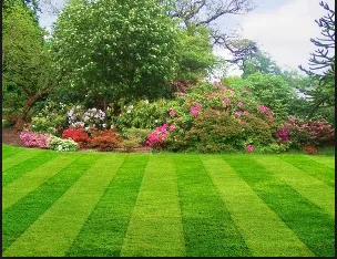 Professional outdoor landscaping experts serving San Jose, CA - JC Green Lawn Service