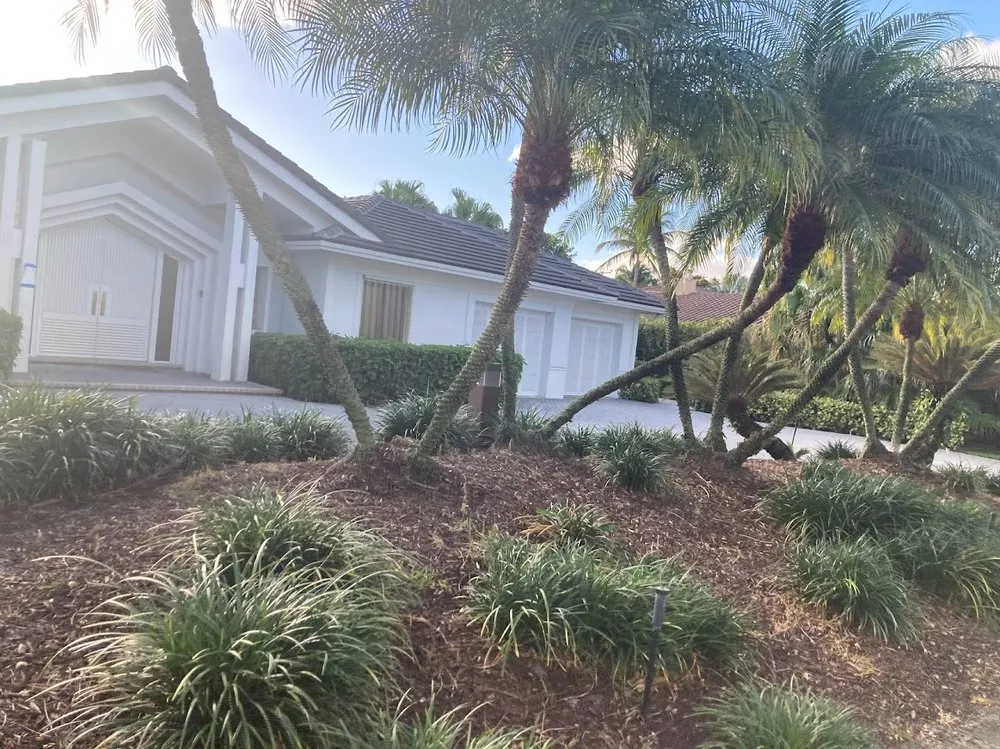 Expert lawn mowing service for year-round maintenance across Fort Lauderdale, FL - JC Green Nature