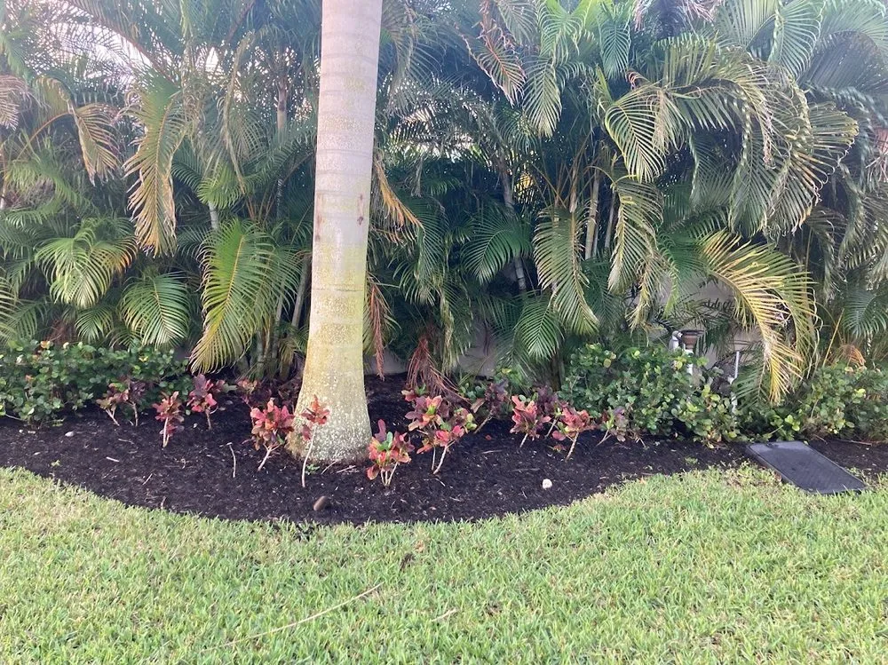 Local landscape design experts serving Fort Lauderdale, FL - JC Green Nature