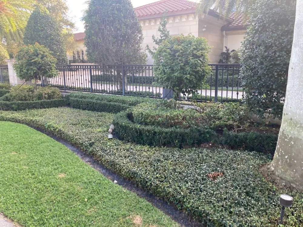 Top-rated yard cleanup service in Fort Lauderdale, FL by JC Green Nature