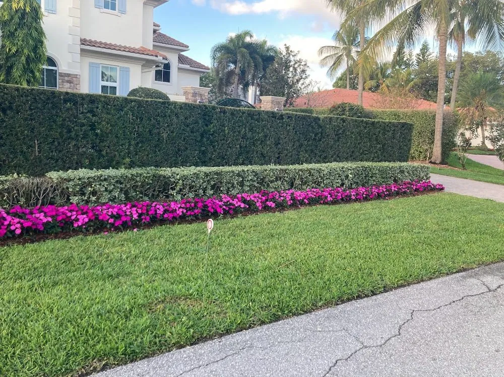 Custom landscaping services in Fort Lauderdale, FL by JC Green Nature