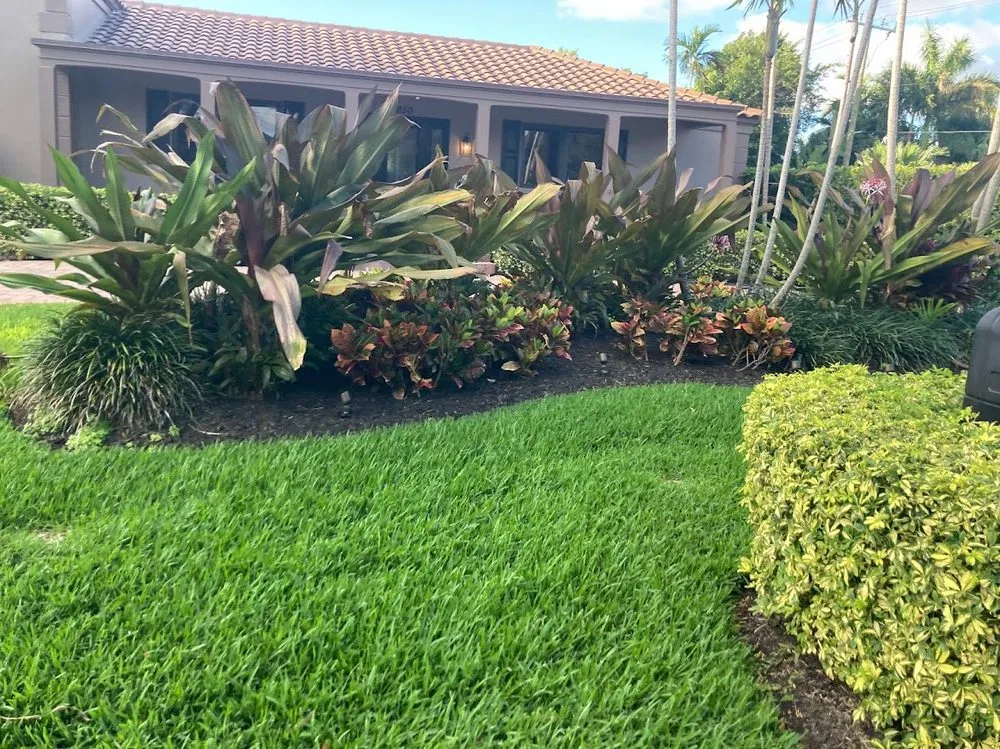 Custom residential landscaping in Fort Lauderdale, FL - JC Green Nature