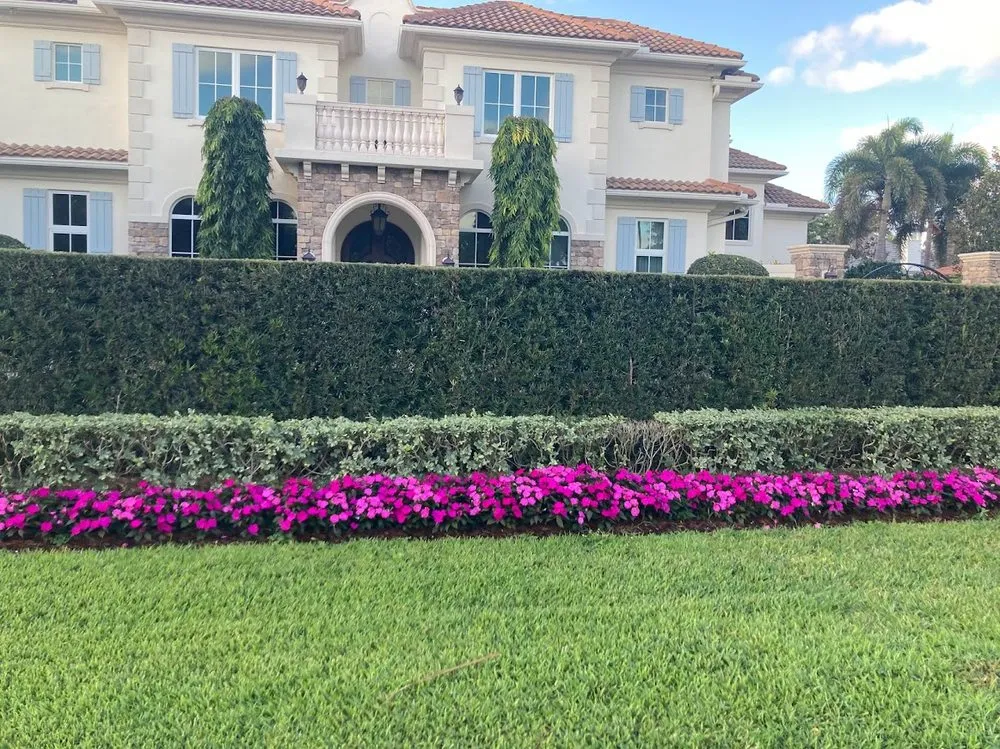 Professional landscape design in Fort Lauderdale, FL - JC Green Nature