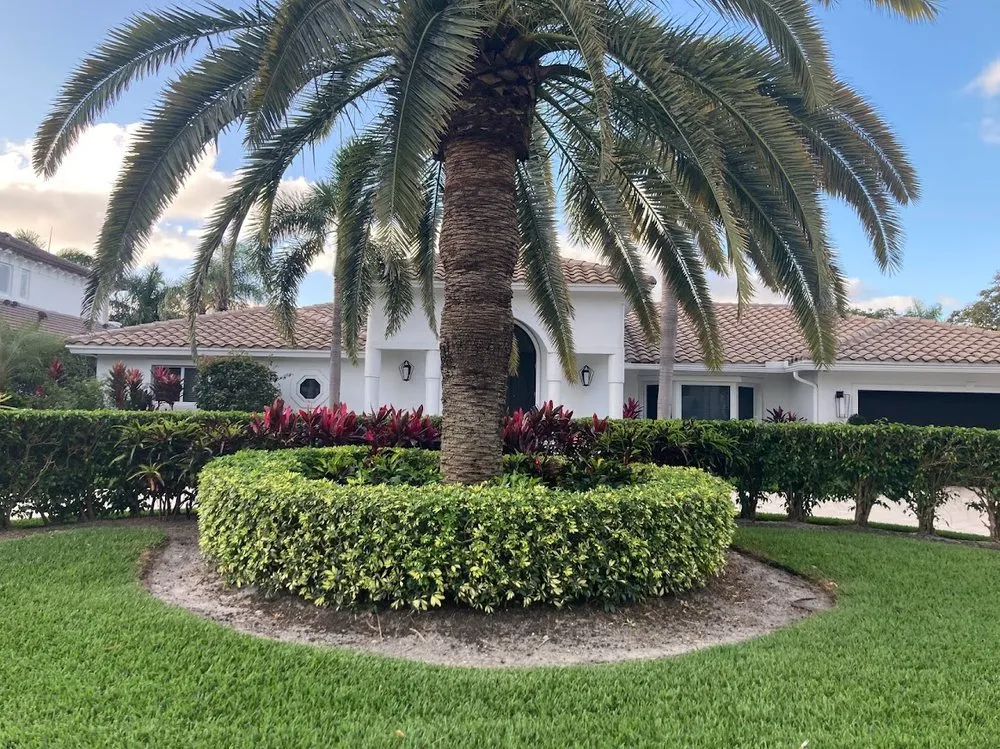 Professional yard cleanup service in Fort Lauderdale, FL by JC Green Nature