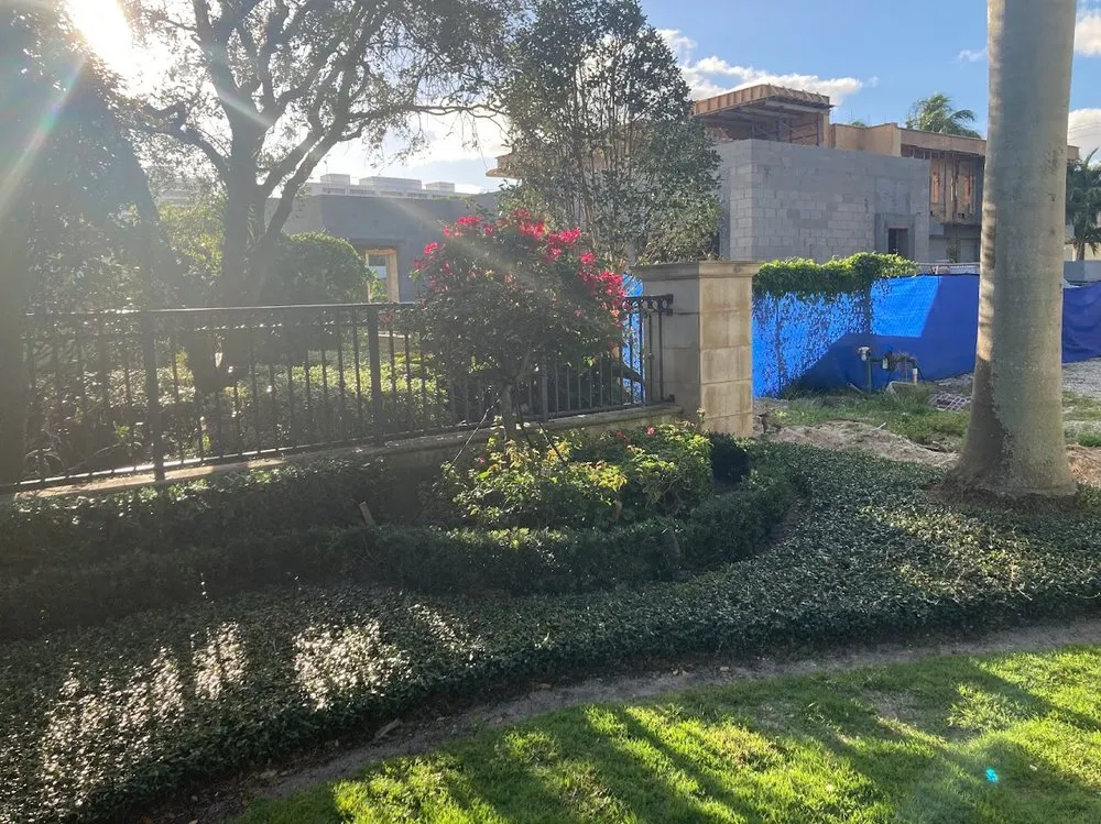 Affordable residential landscaping in Fort Lauderdale, FL - JC Green Nature