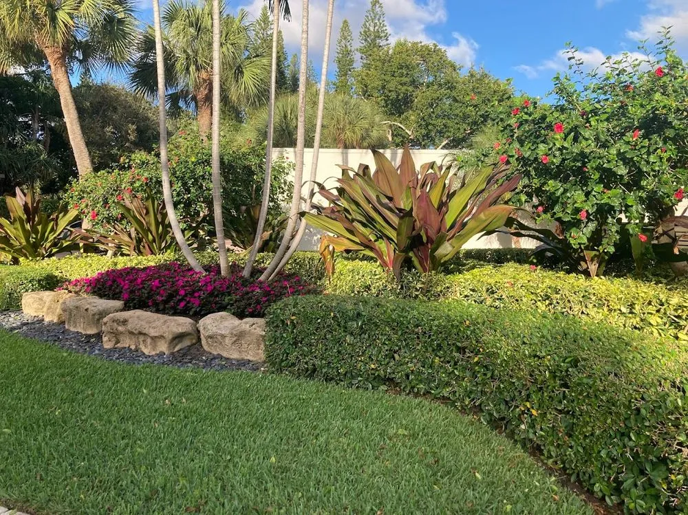 Affordable landscape design for beautiful yards across Fort Lauderdale, FL - JC Green Nature