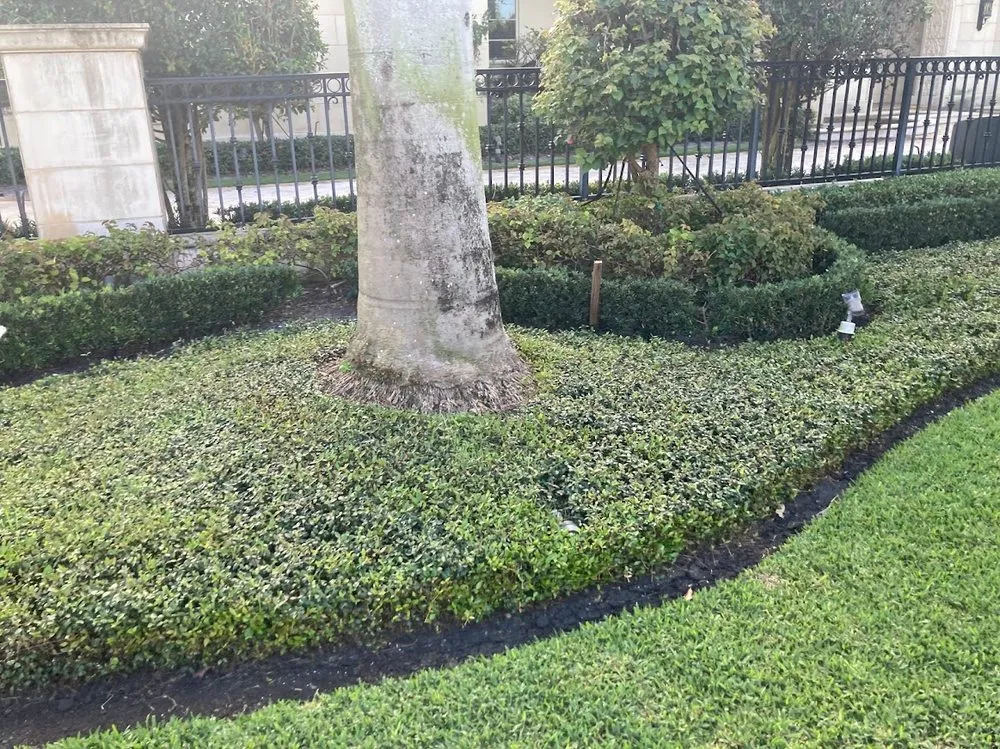 Top-rated garden landscaping in Fort Lauderdale, FL - JC Green Nature