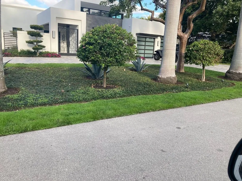 Professional landscaping services experts serving Fort Lauderdale, FL - JC Green Nature