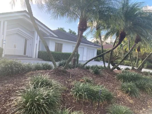 JC Green Nature Logo