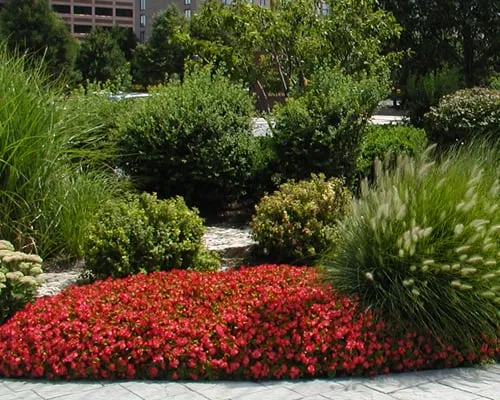 Affordable landscape installation in Aurora, IL - JC Green Services