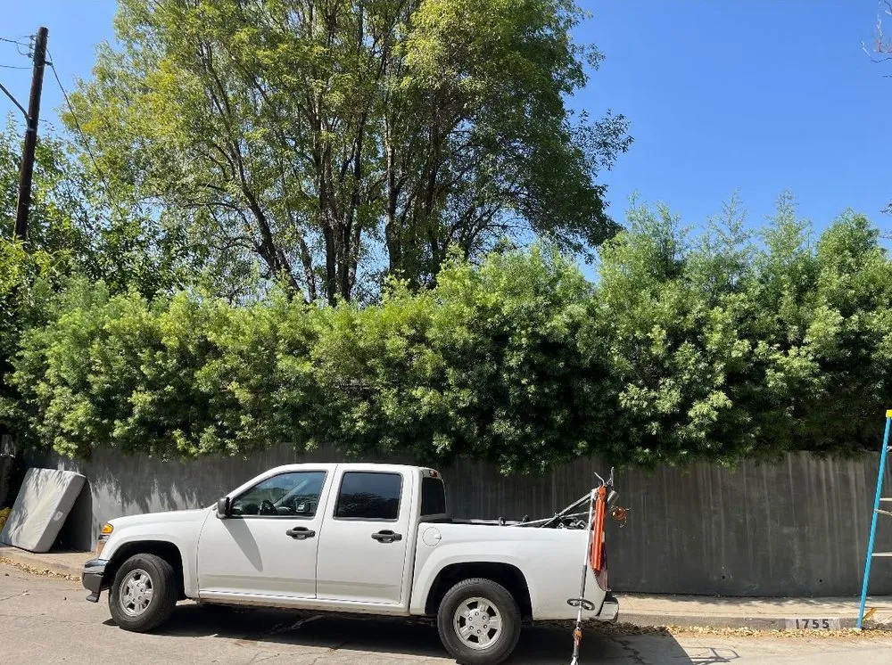 Expert garden landscaping in San Fernando Valley, CA by JC Greens