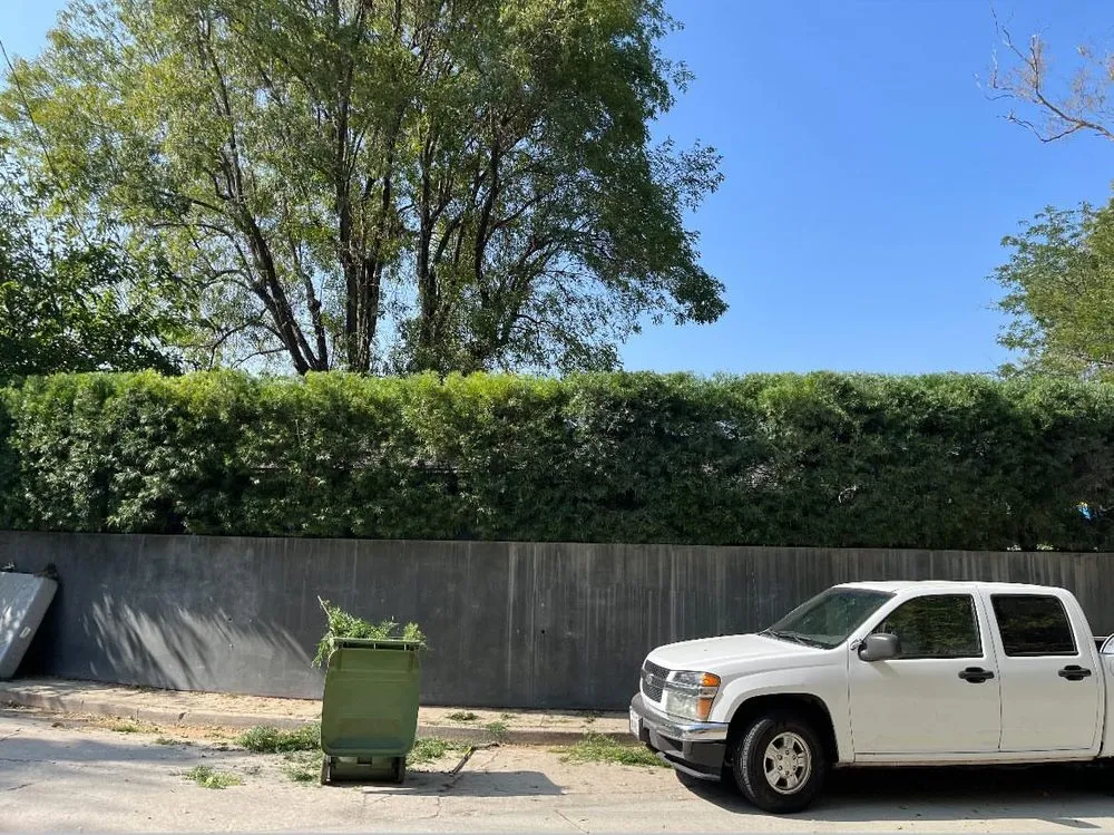 Trusted outdoor landscaping with custom design in San Fernando Valley, CA by JC Greens