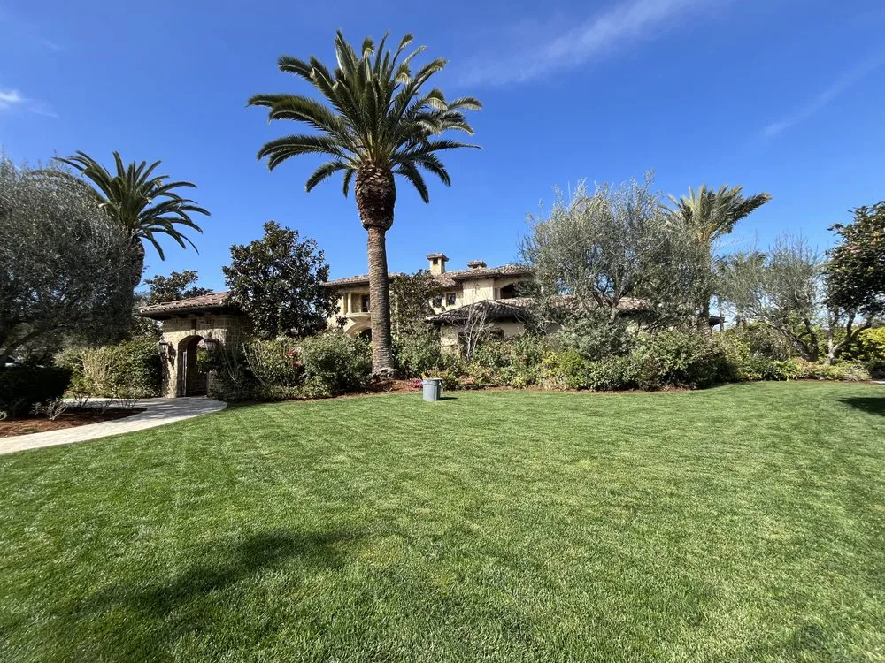 Professional landscape design with custom design in San Fernando Valley, CA by JC Greens