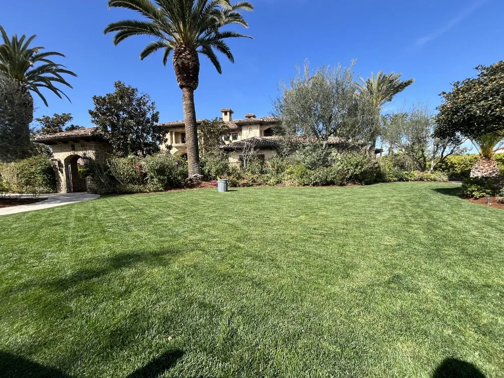 Trusted residential landscaping in San Fernando Valley, CA by JC Greens