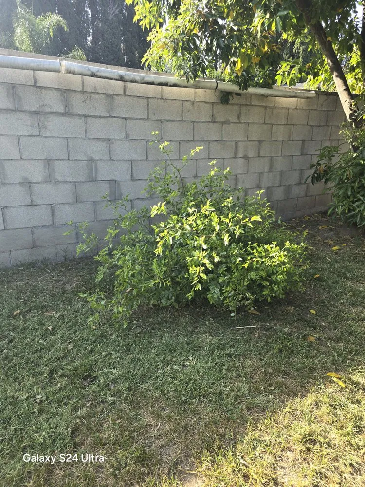 Professional garden landscaping experts serving West Covina, CA - JC Hauling